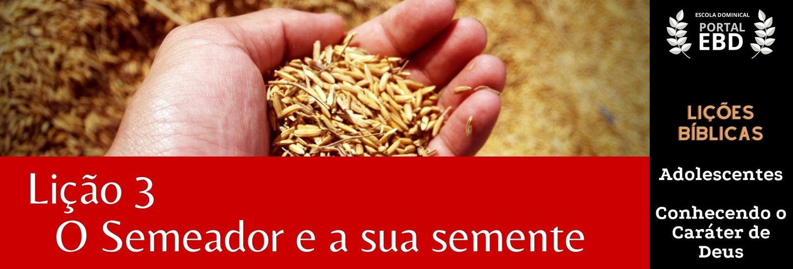 Lição 3 - O semeador e a sua semente - SLIDES E VIDEOAULAS
