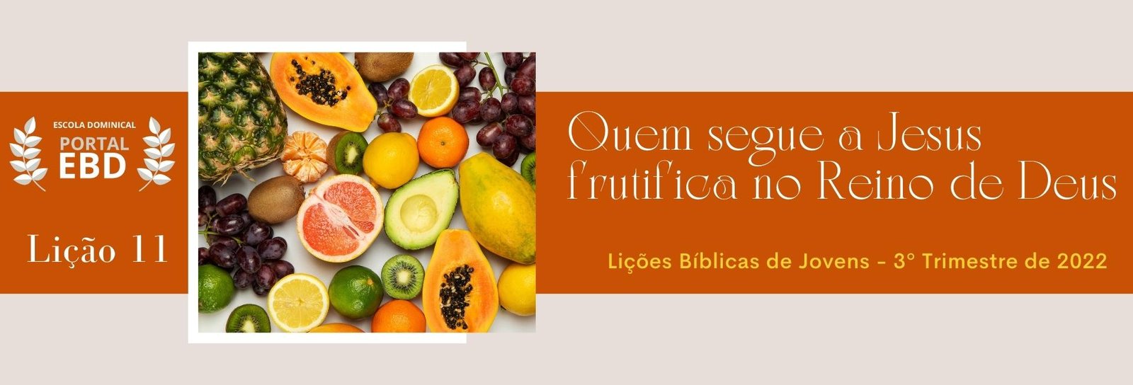 Lição 11 - Quem segue a Cristo frutifica no reino de Deus  - SLIDES E VIDEOAULAS