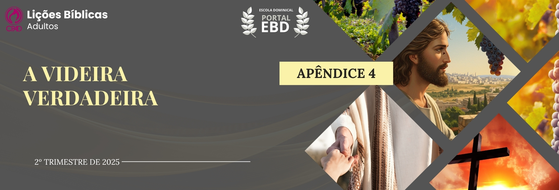 Apêndice 4 – A videira verdadeira